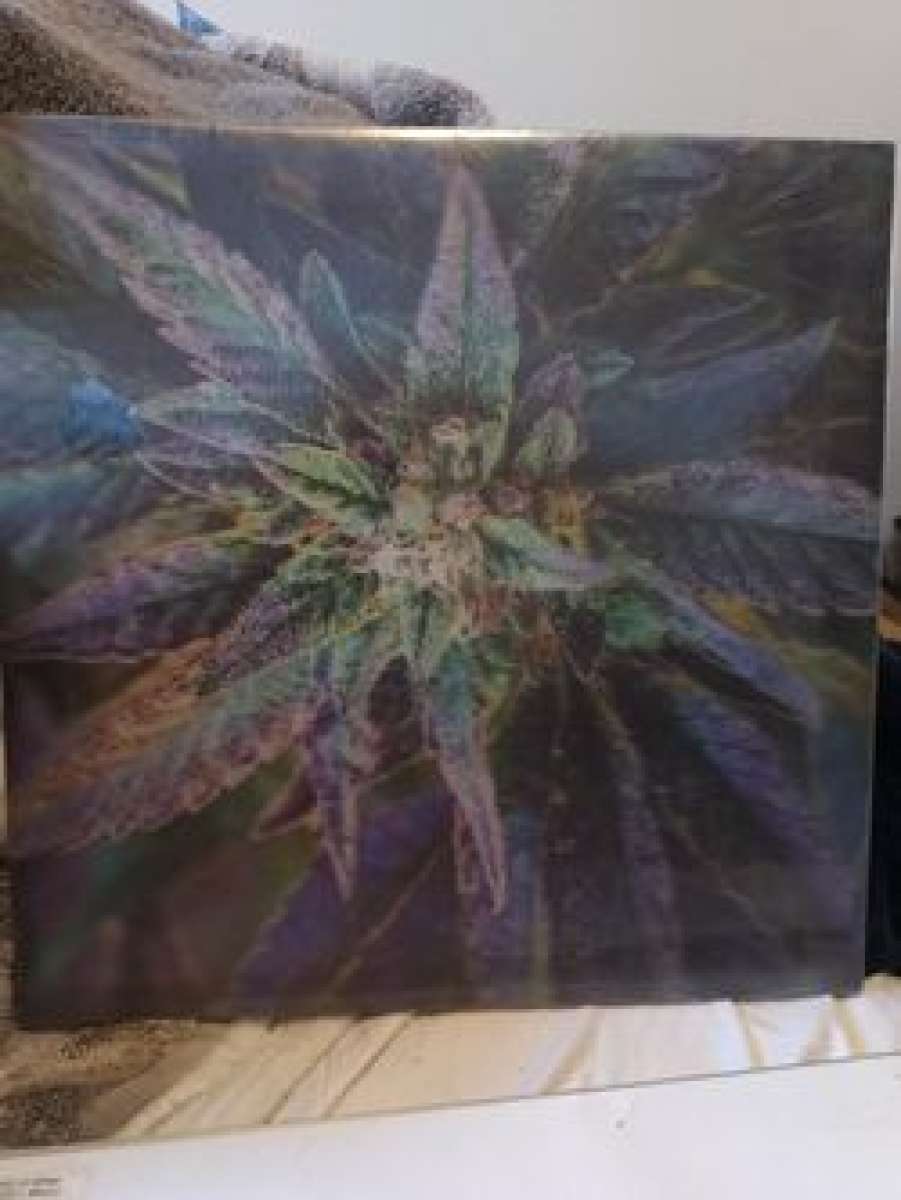 2 3d halographic Bud pictures