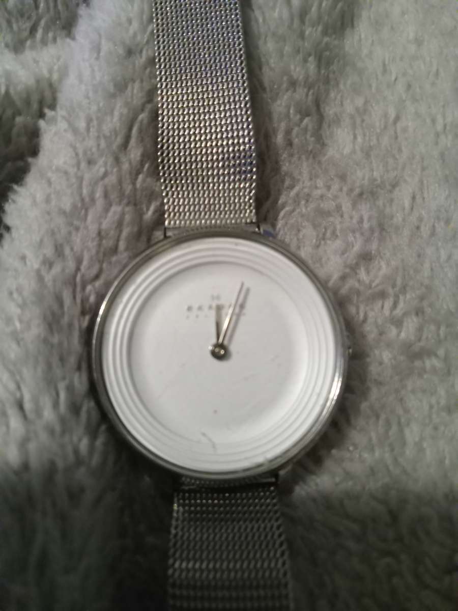 Skagen SKW2332 Ditte White Dial Stainless Sreel Womens watch