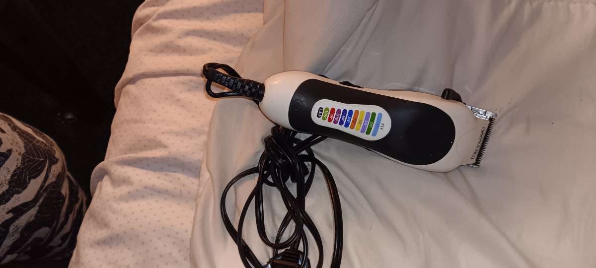 razor one electric the other rechargeable