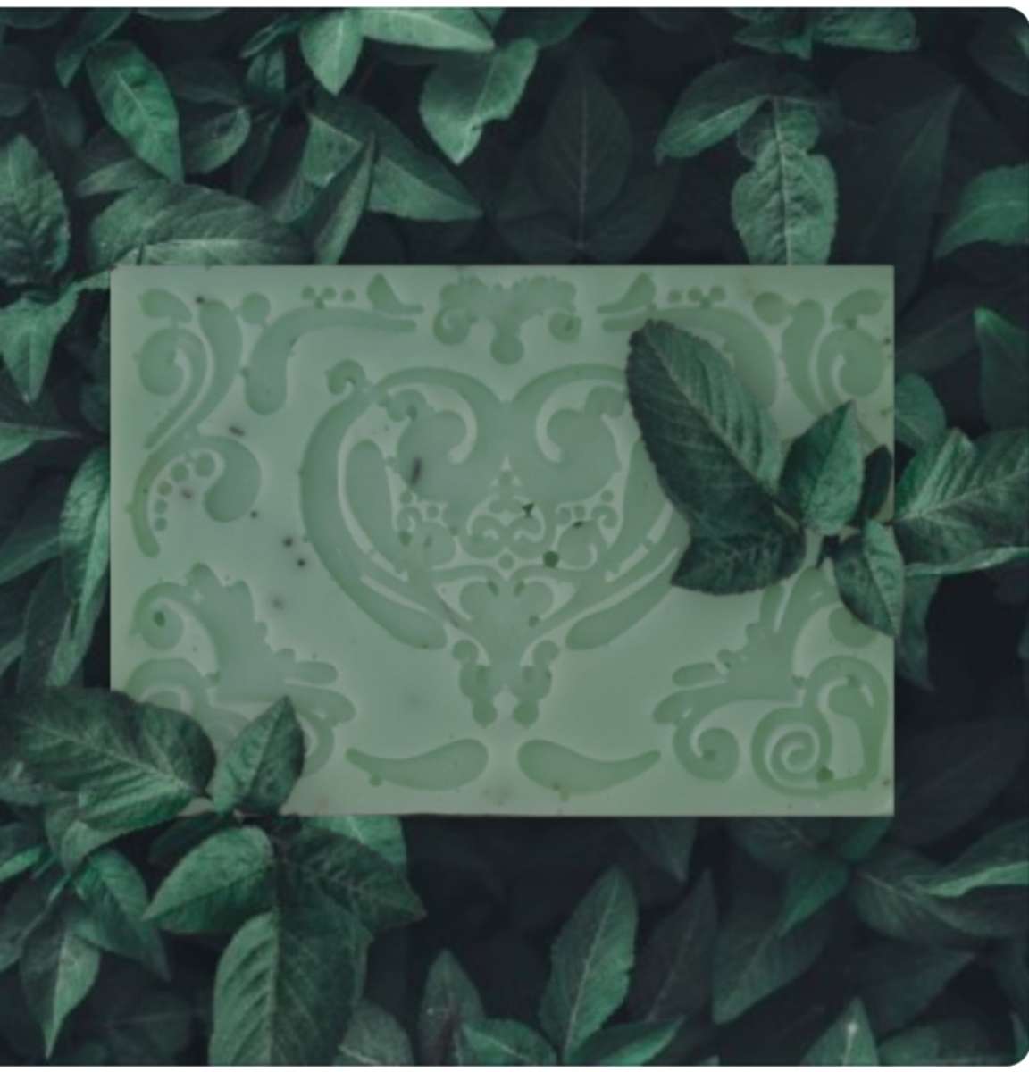 rosemary soap  natural soap