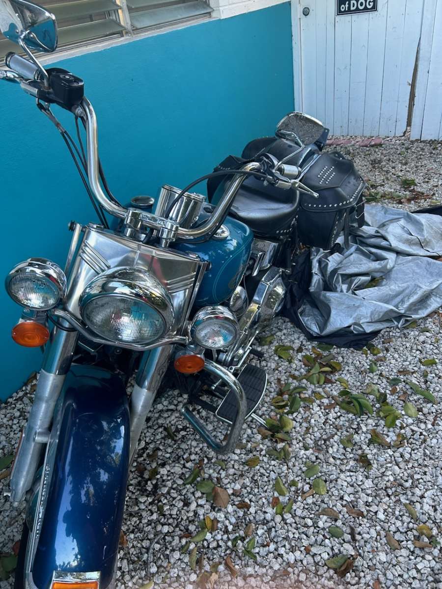 Harley Davidson Softtail