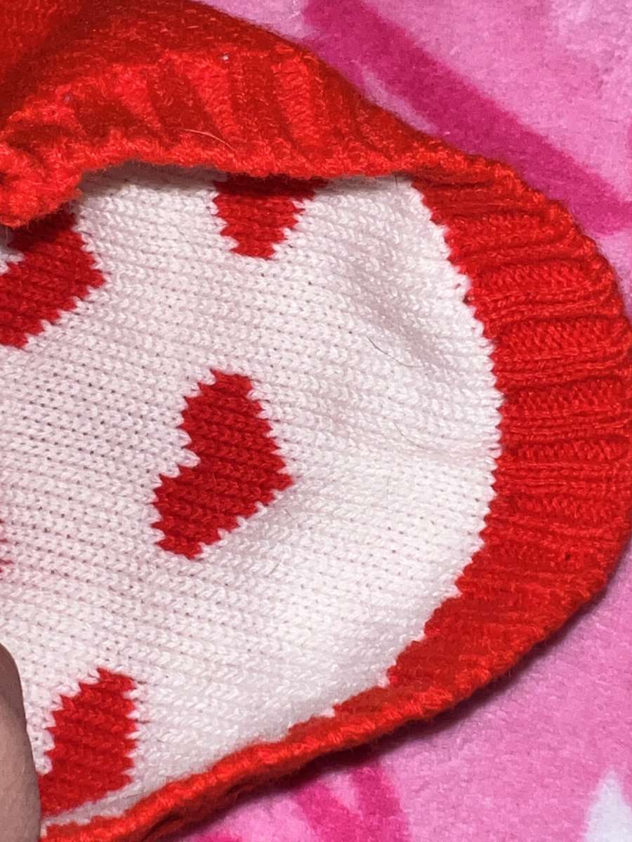 valentines sweater for dog or kitten brand new