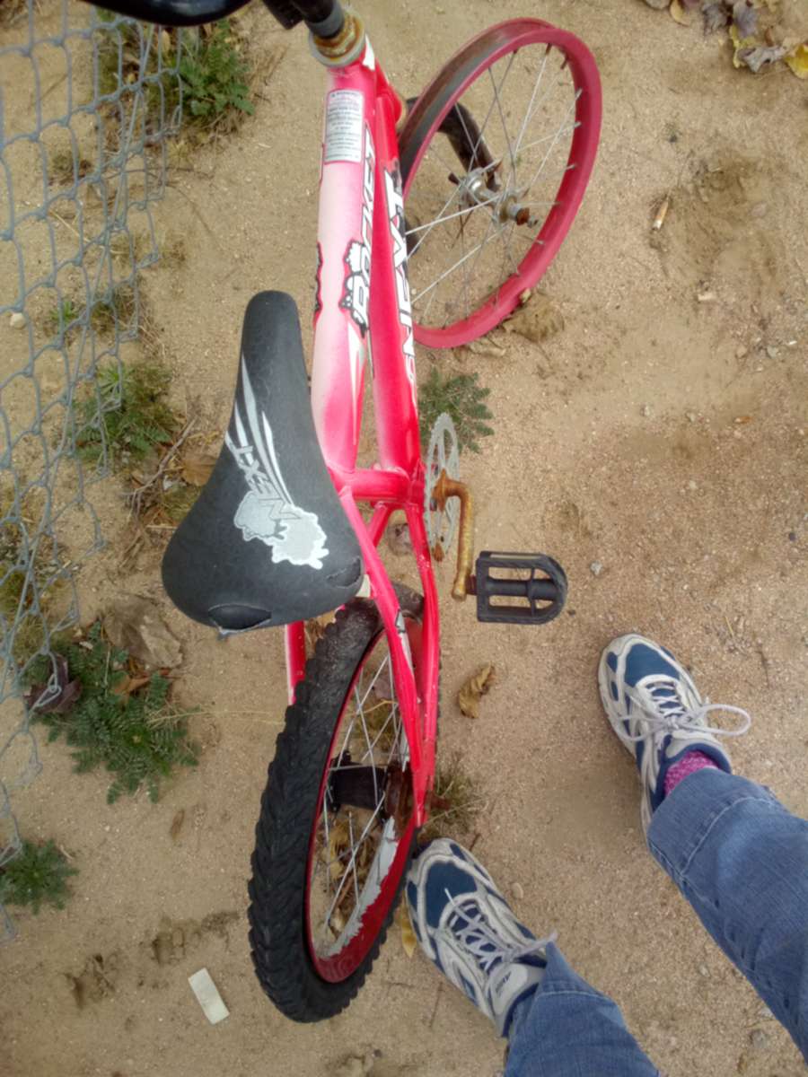 rocket next bmx bike