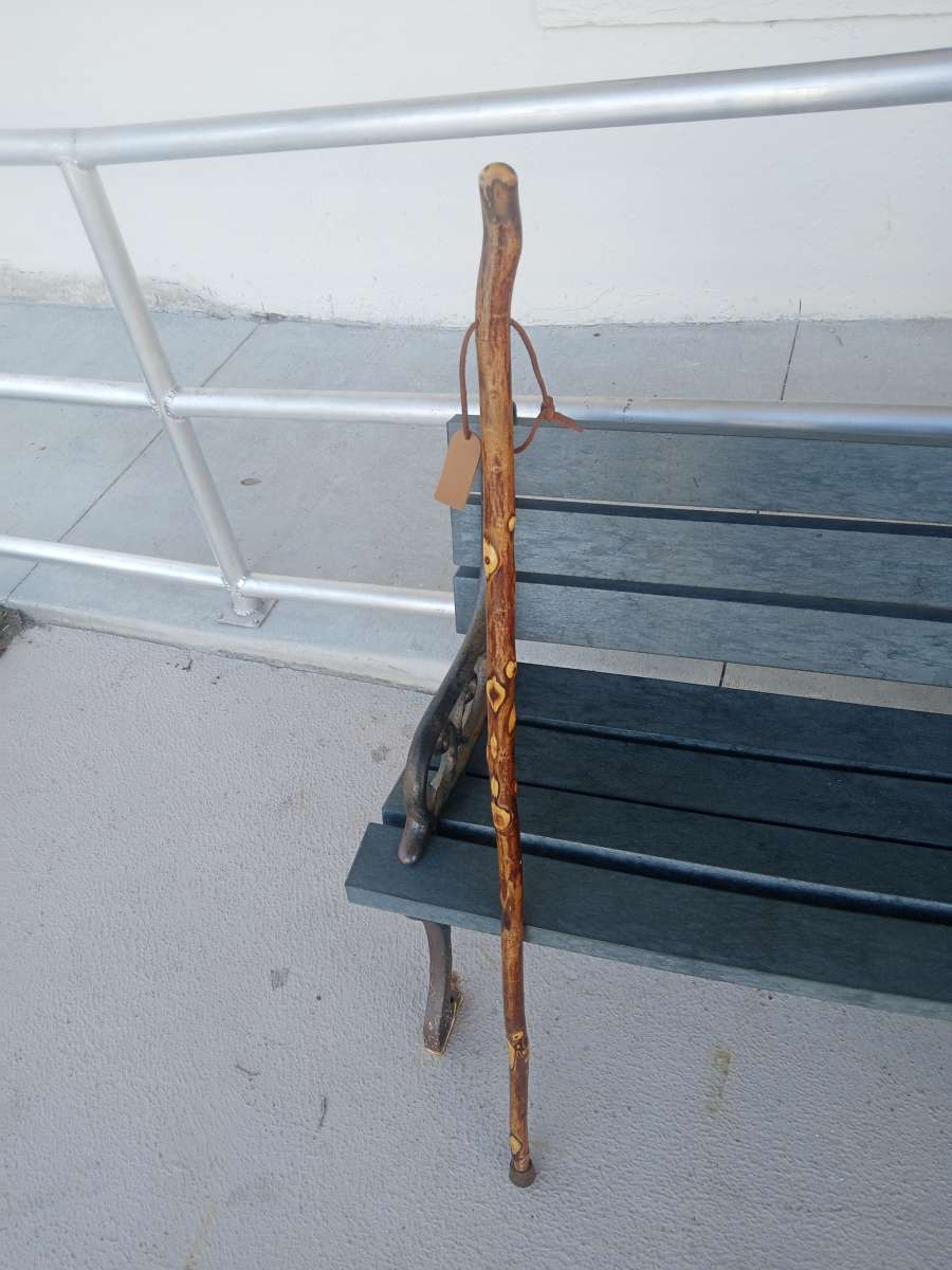 Walking Canes for Mobility