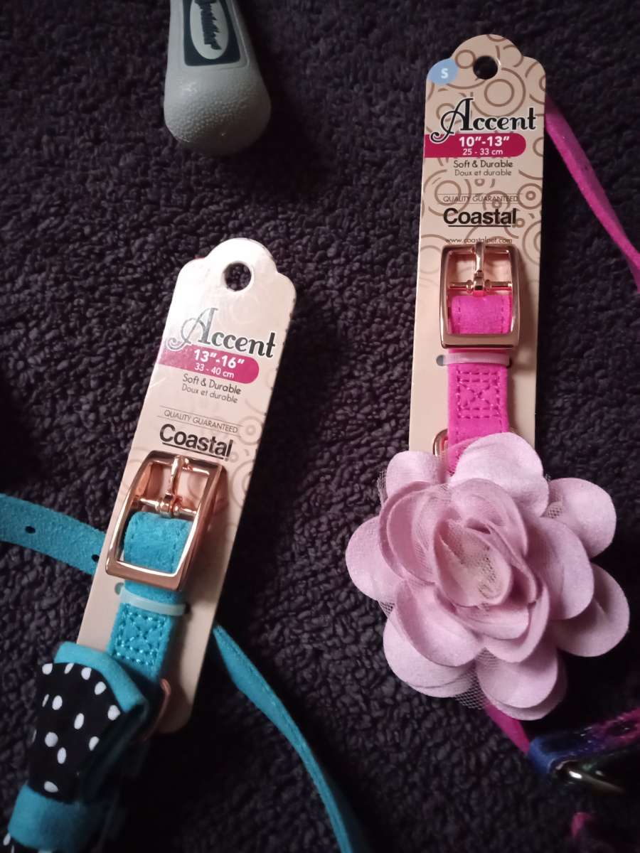 Pet Collars Grooming Tool