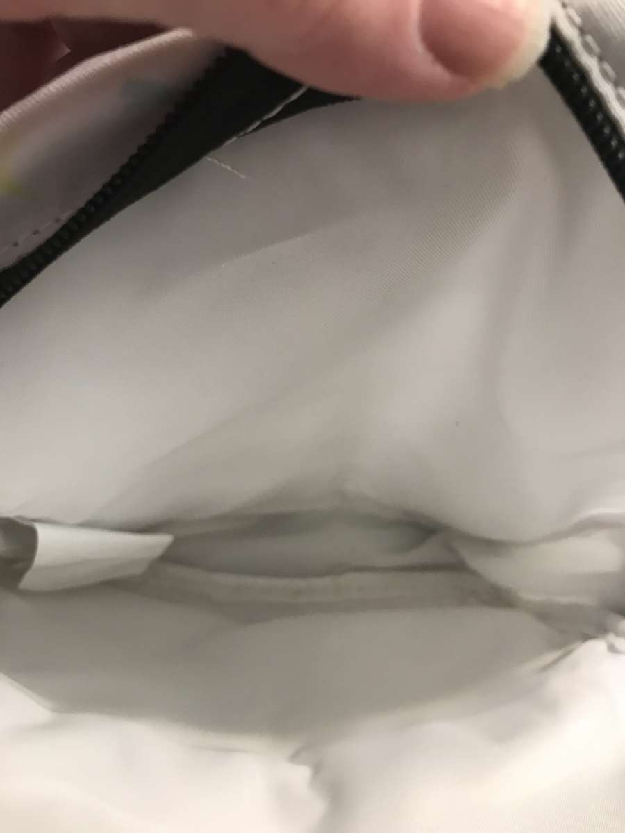 purse backpacks