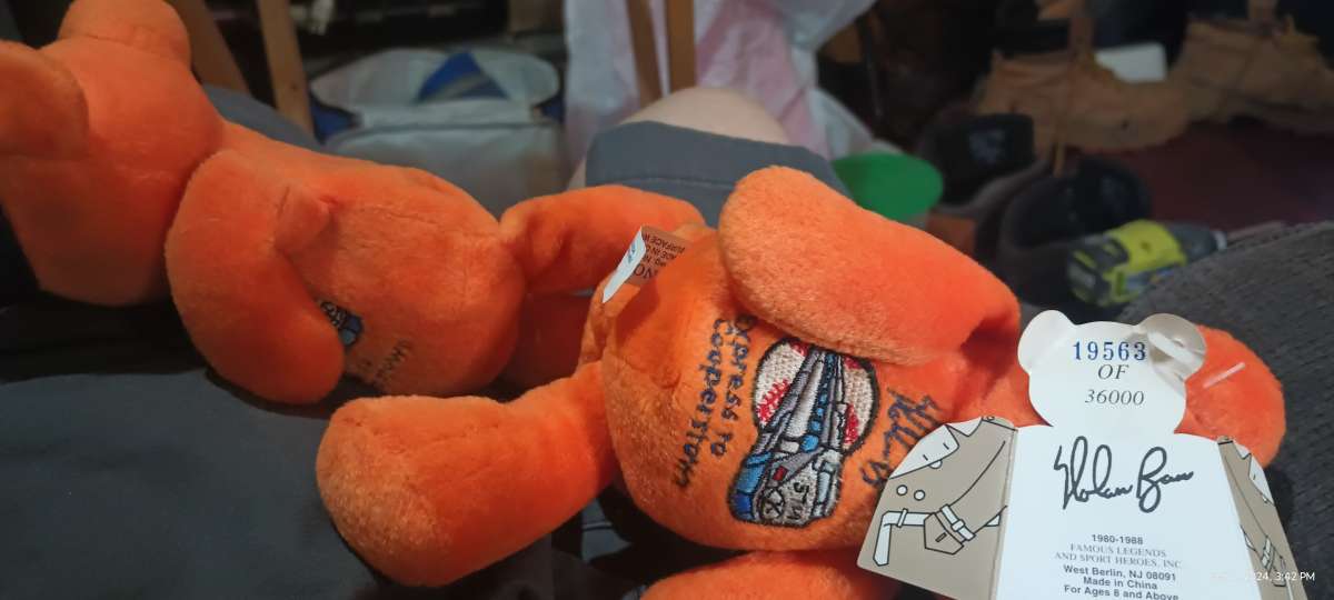 its a collectable bear zoom in