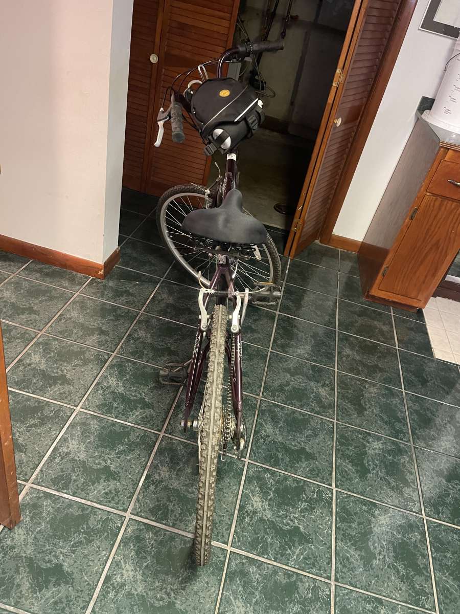 womens magna oasis 7 speed bike