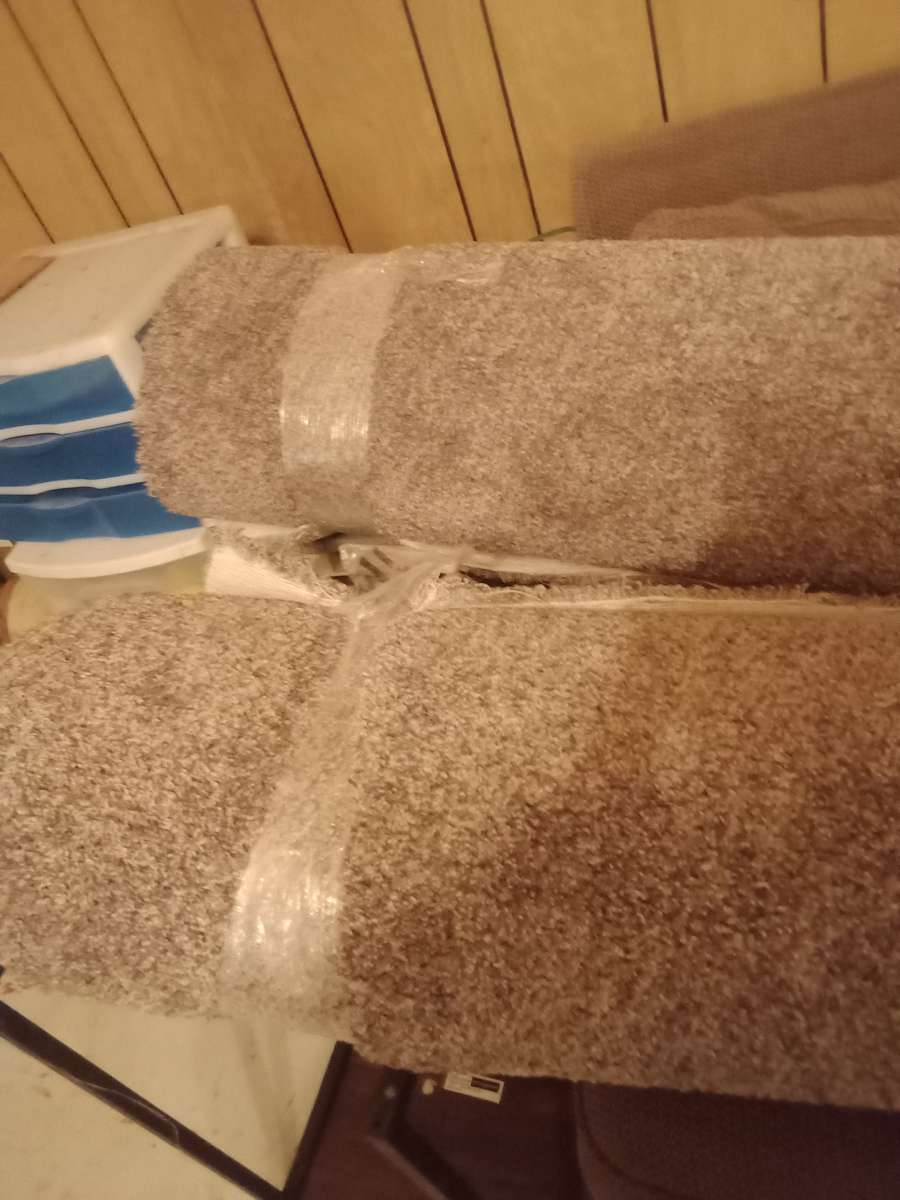 carpet