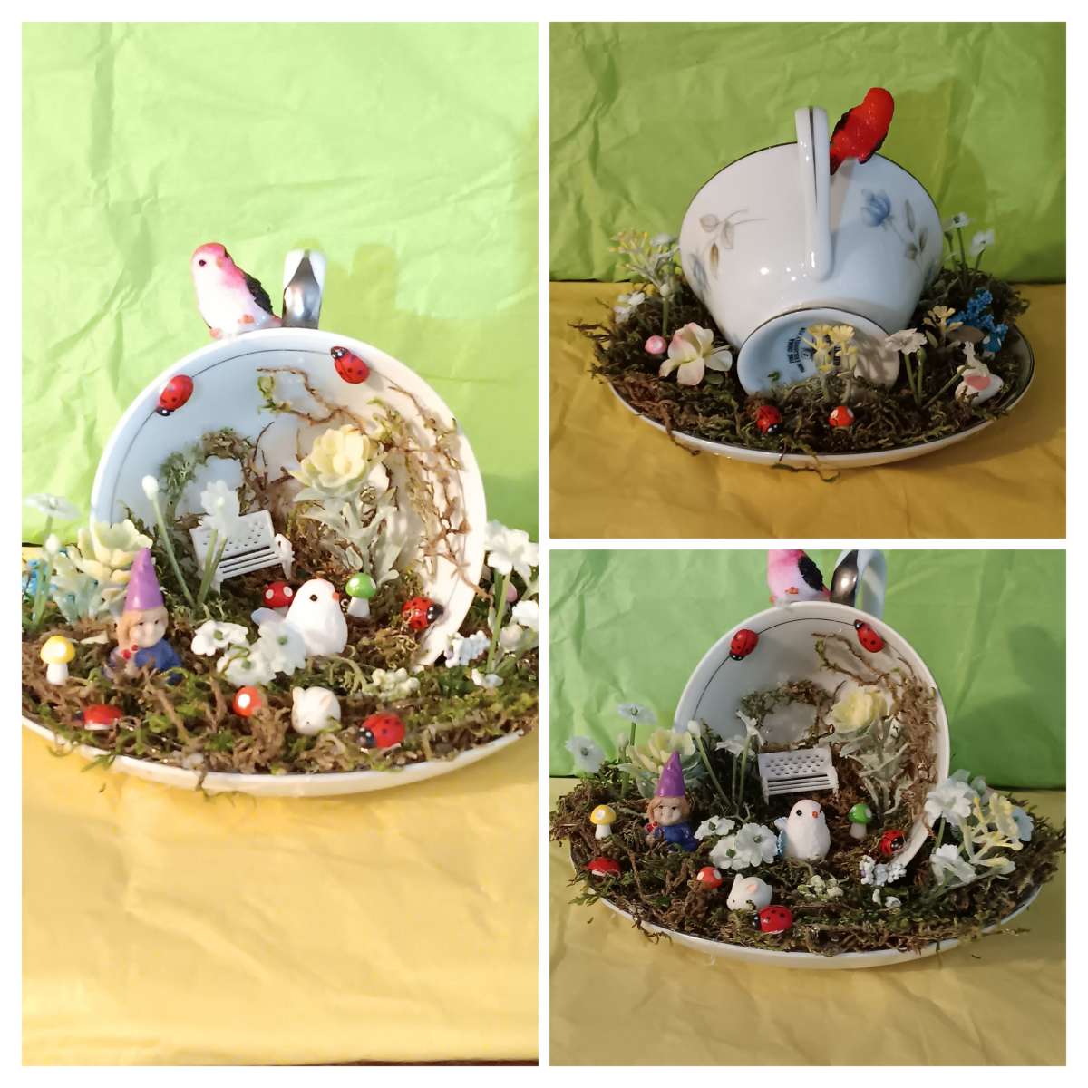 little teacup garden