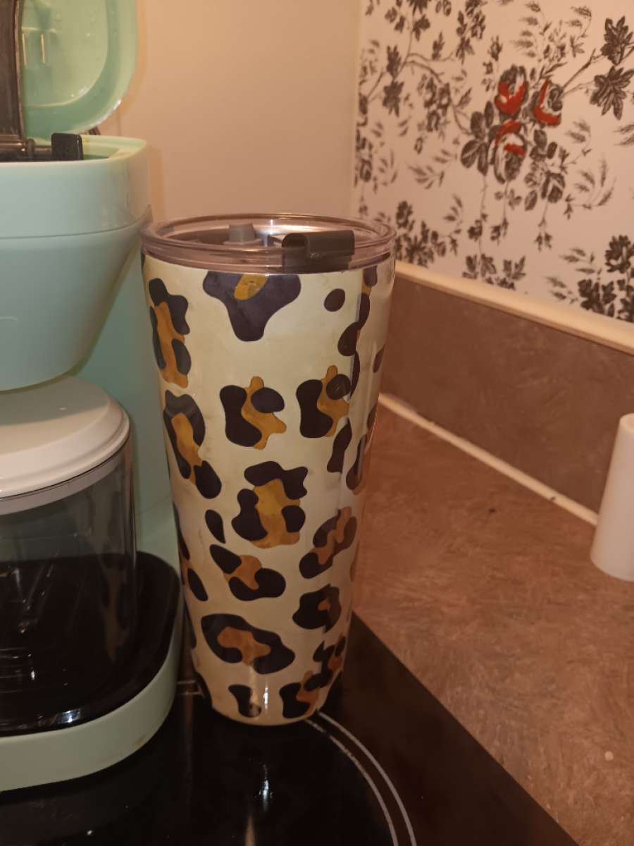 single cup coffee maker bundom frenchpress cracker barrel