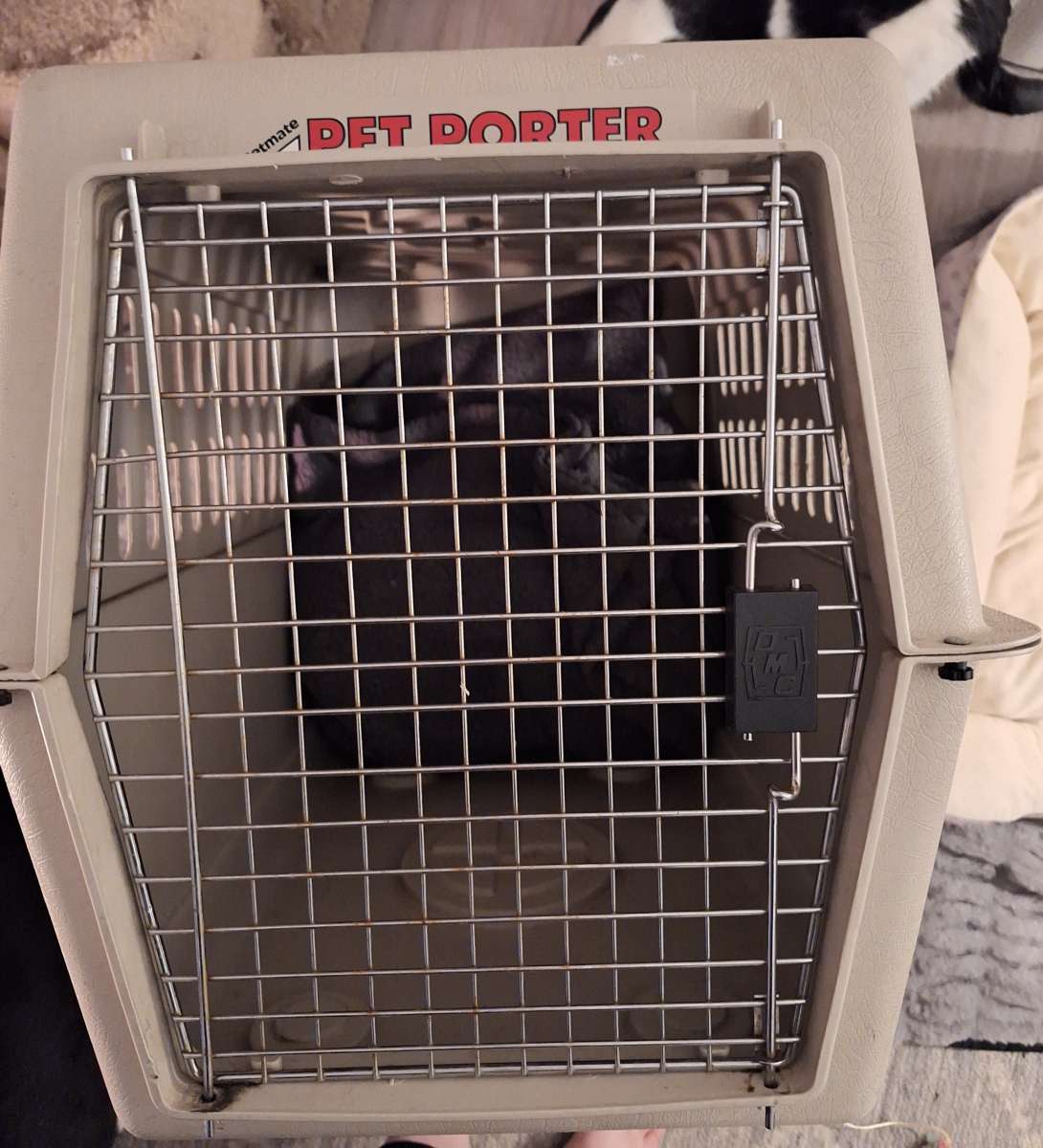 36 inch Large Dog Kennel