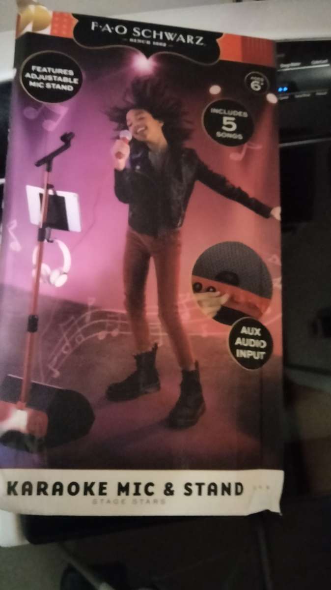 karaoke microphone