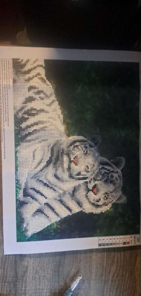 Finished Diamond Painting