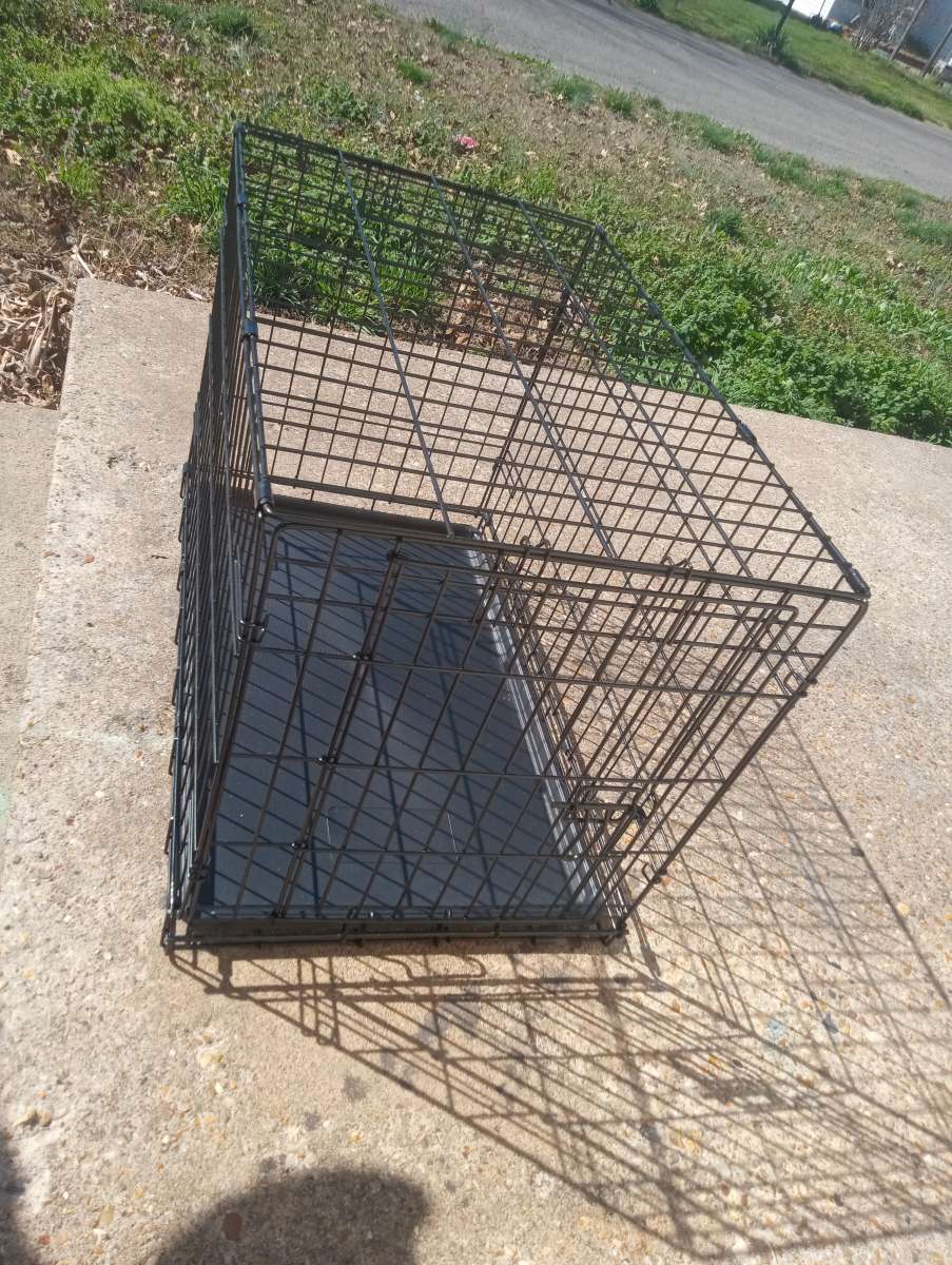 Brand new medium sized dog cage just bought it