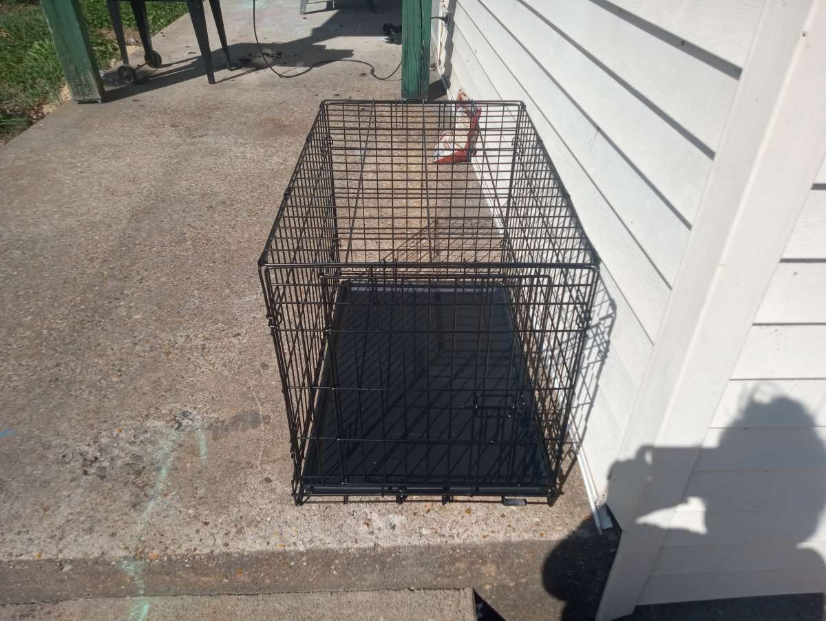 Brand new medium sized dog cage just bought it