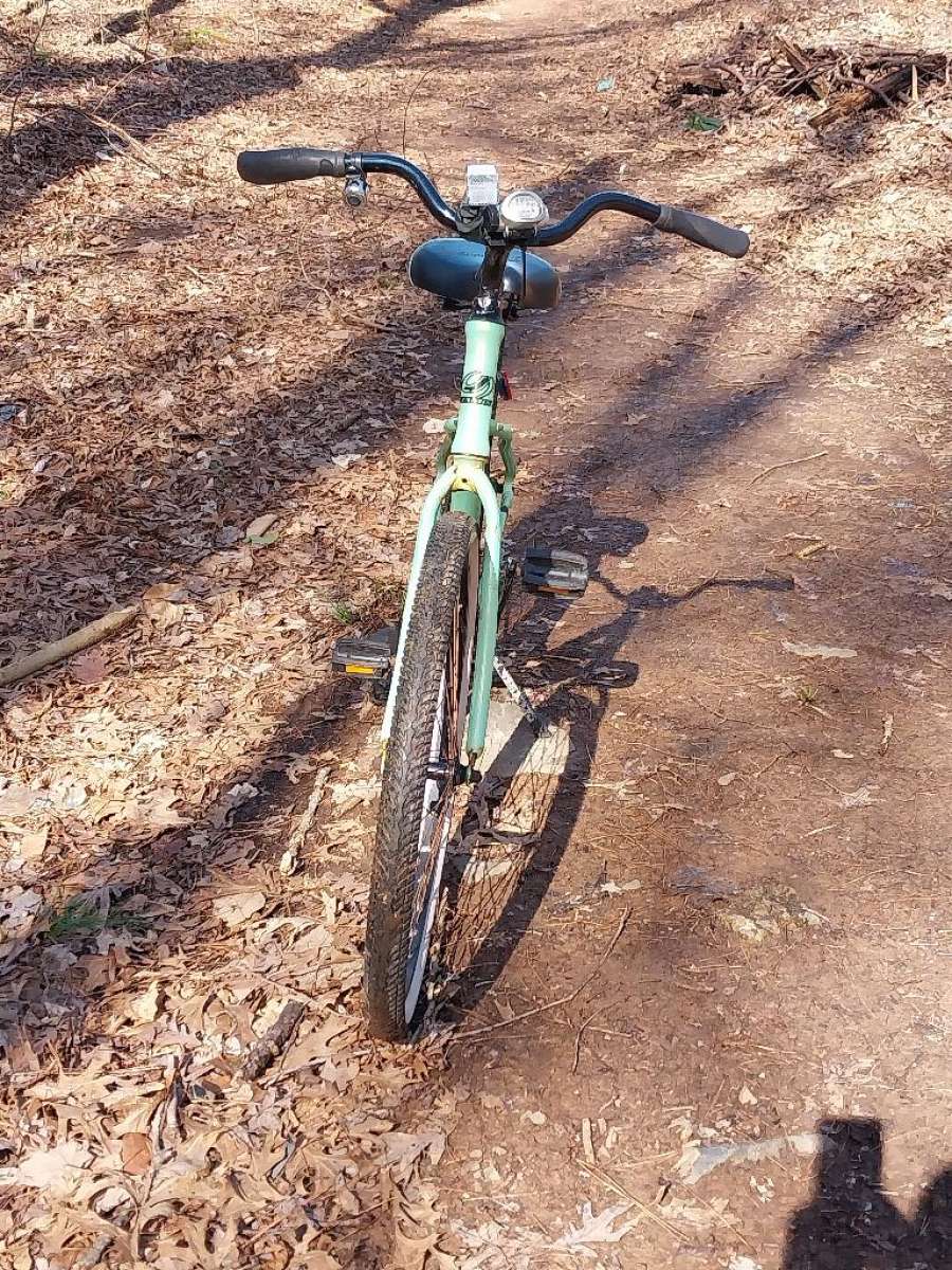 Jamis Hudson cruiser