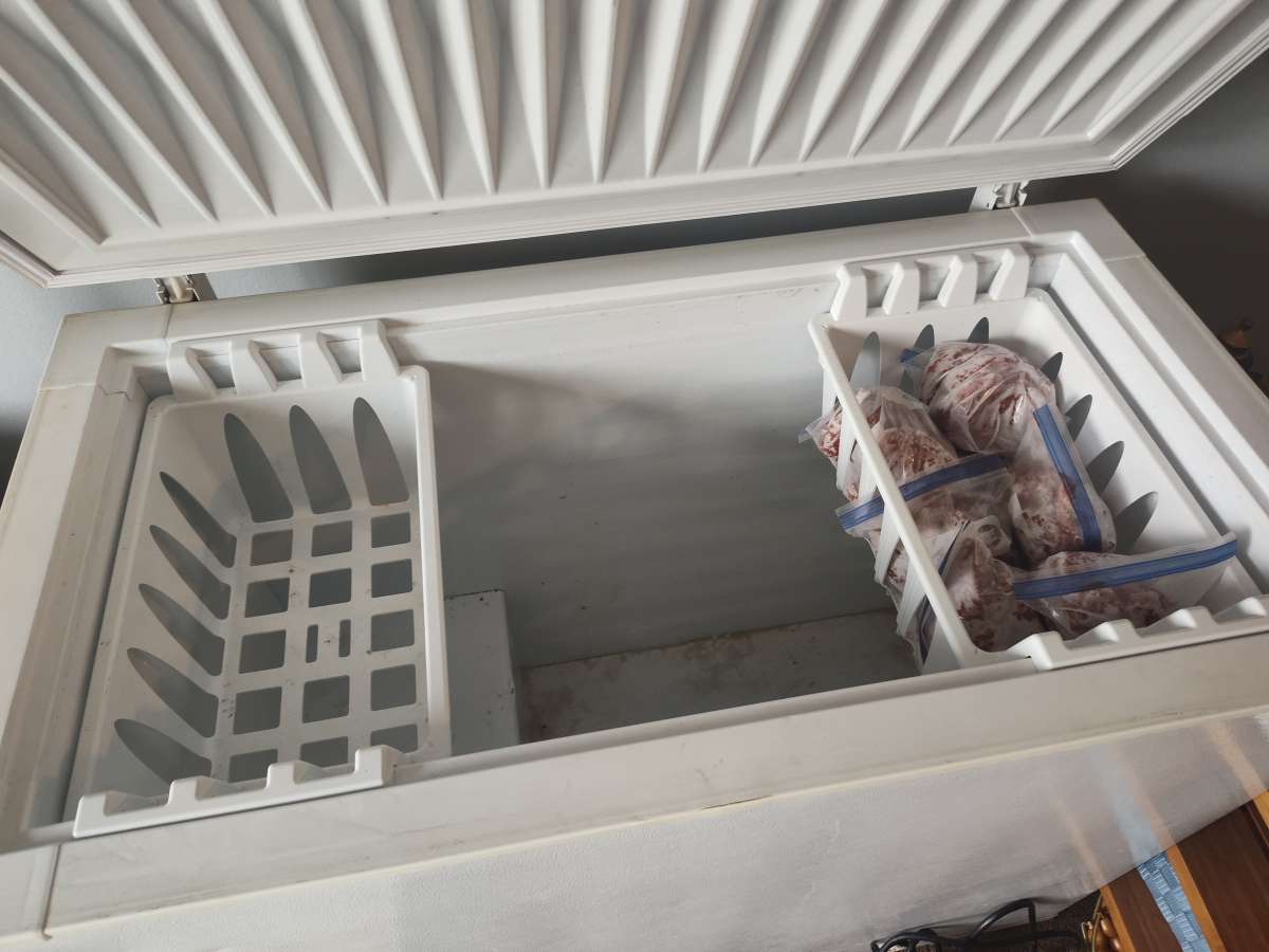 freezer for sale 35 bucks