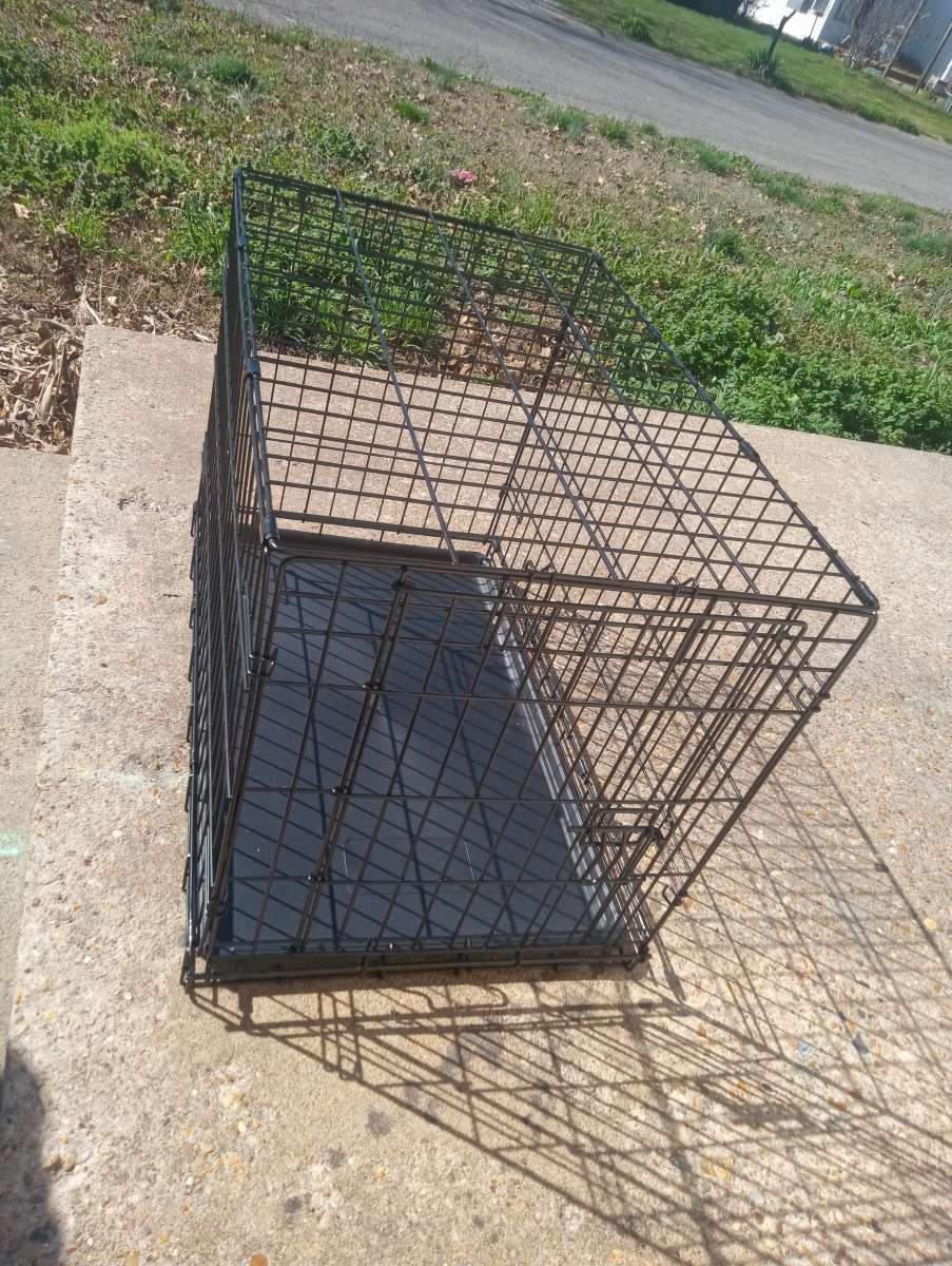 Brand new medium sized dog cage just bought it