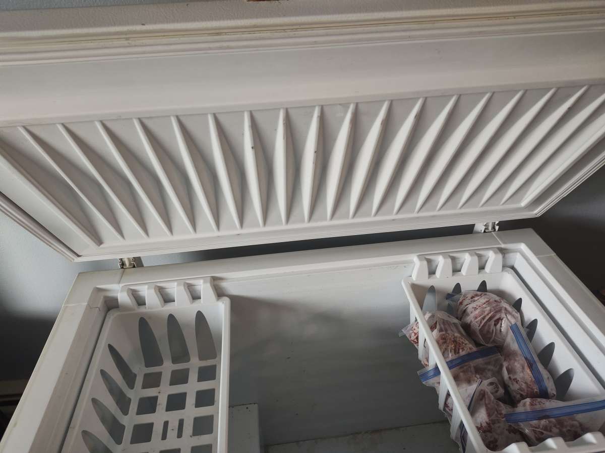 freezer for sale 35 bucks