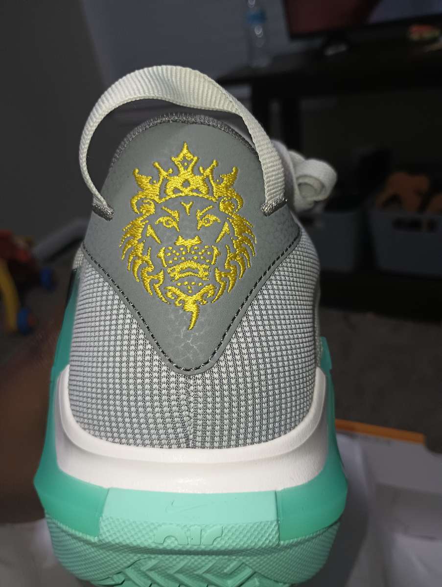 Nike LeBron witness 7
