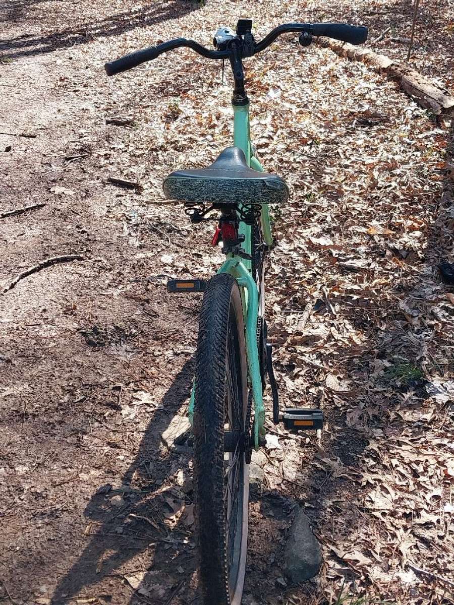 Jamis Hudson cruiser