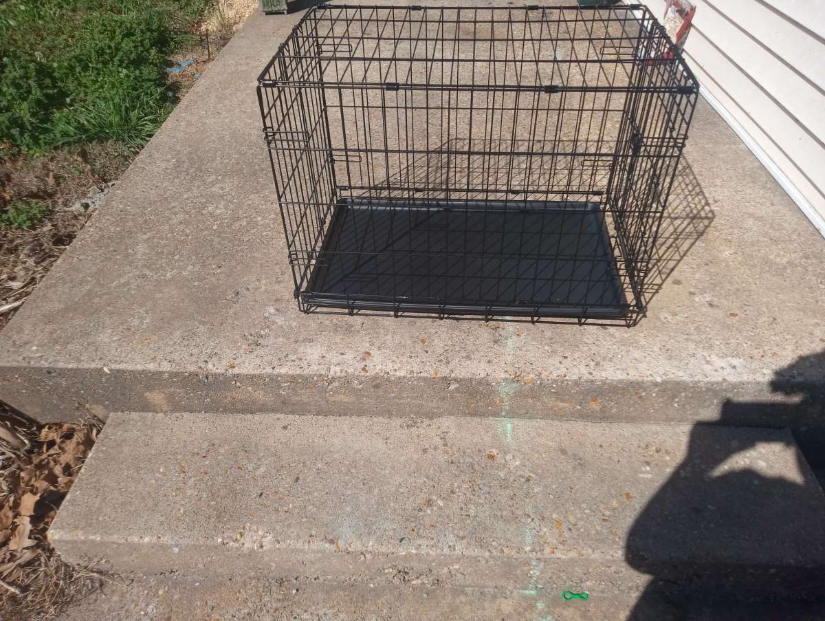 Brand new medium sized dog cage just bought it