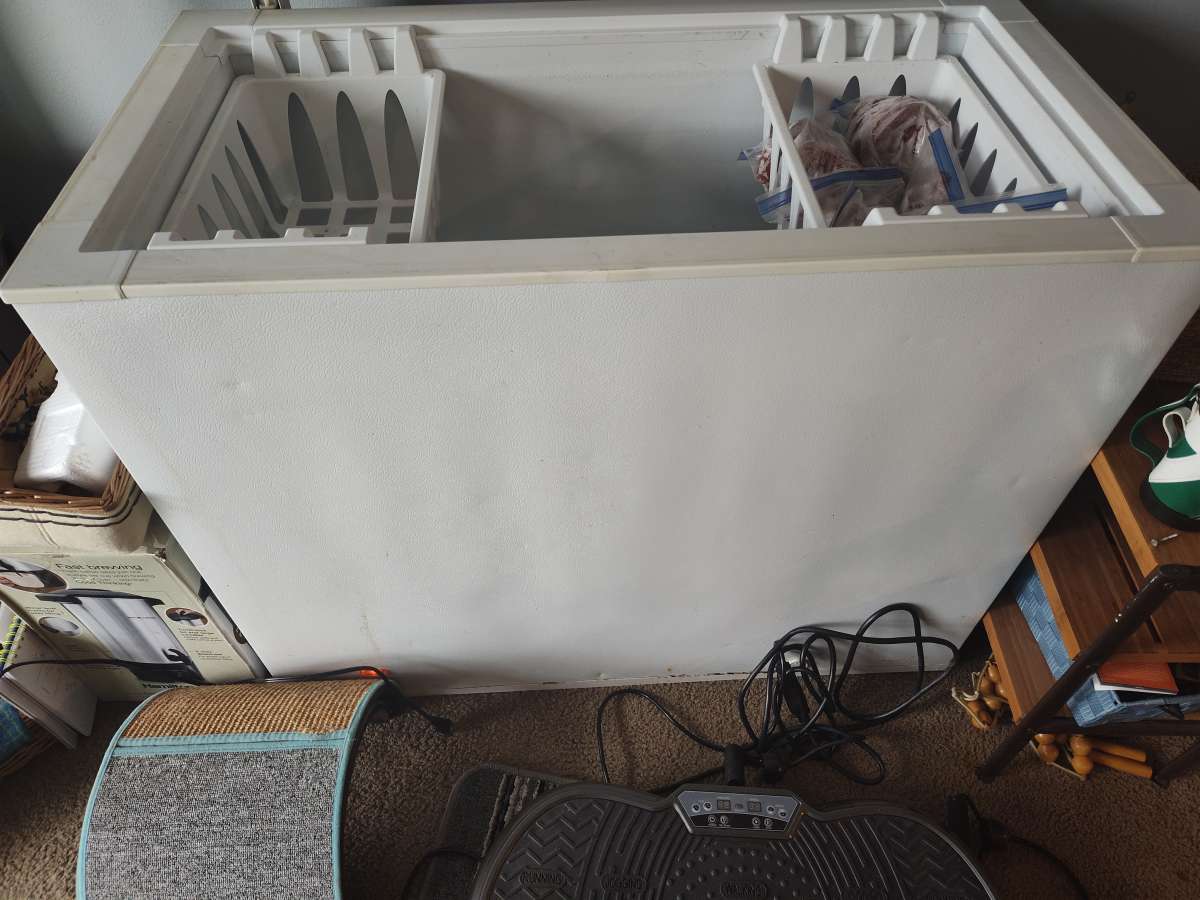freezer for sale 35 bucks