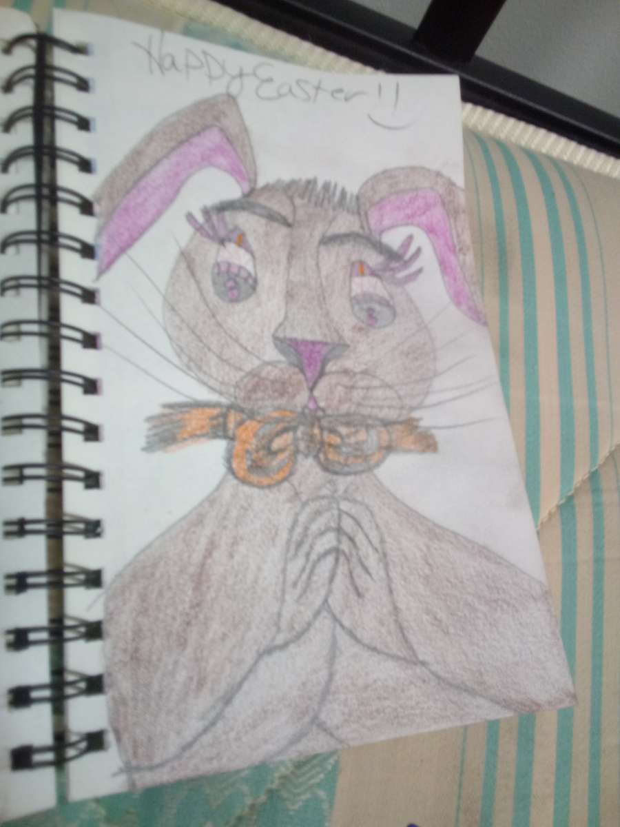 my drawings