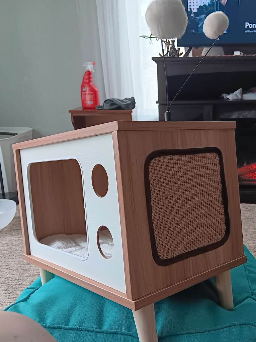 cat bed house toys and scratch pad