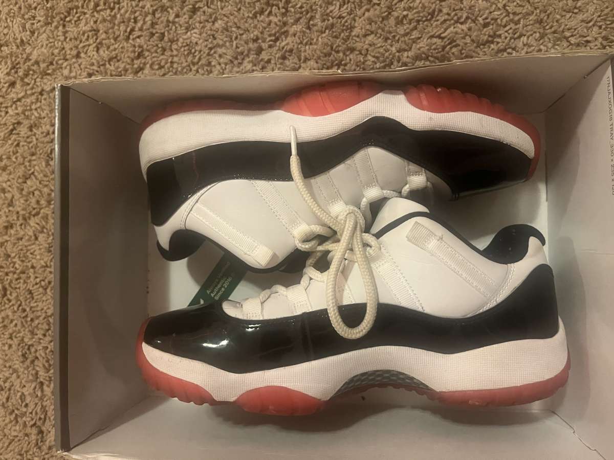 Concord bred 11s