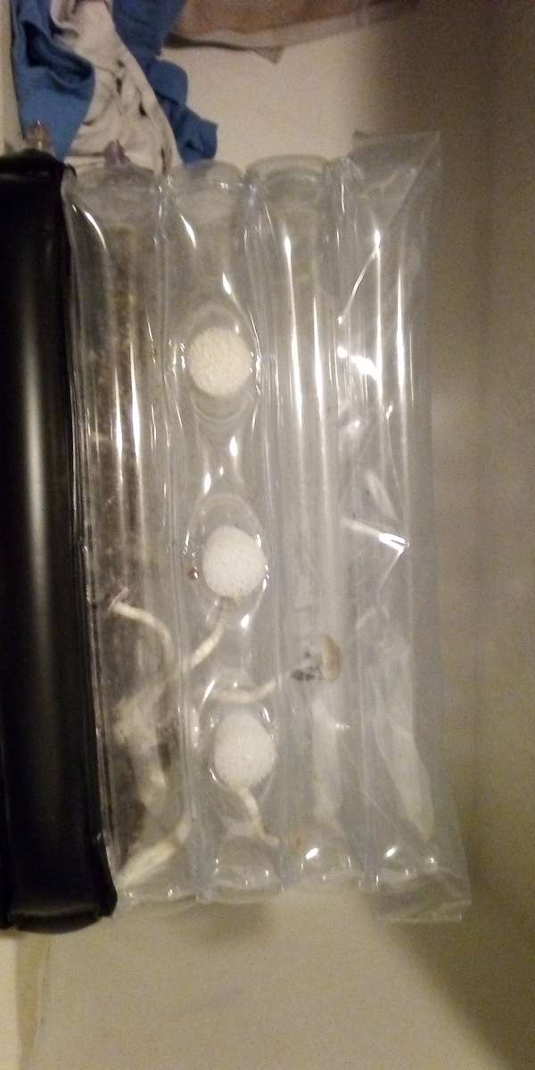 mycology equipment make offer