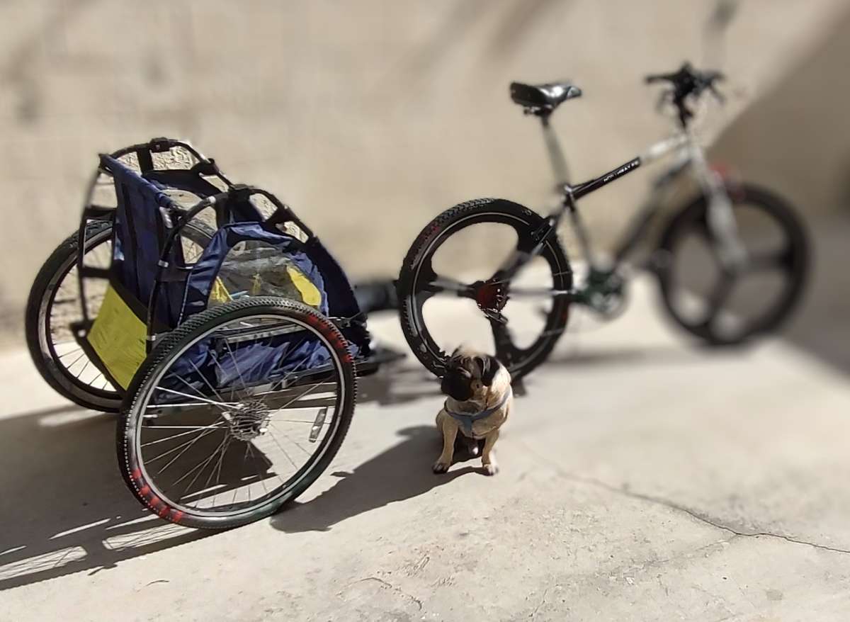 26 mountain bike with