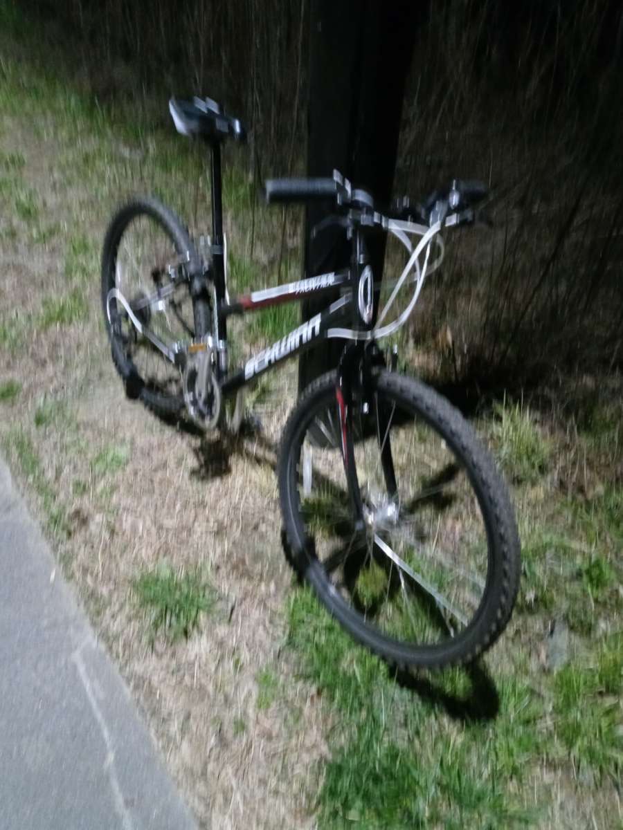 fairly new Scwinn bike