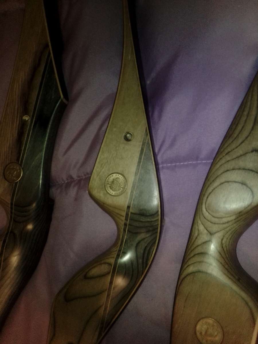 Bear hunting bows brand new