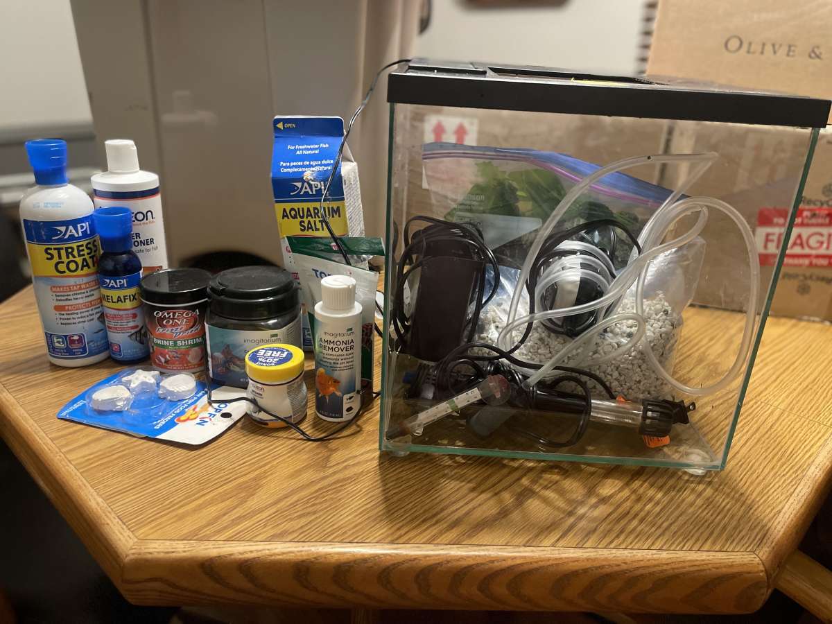 5g fish tank starter kit