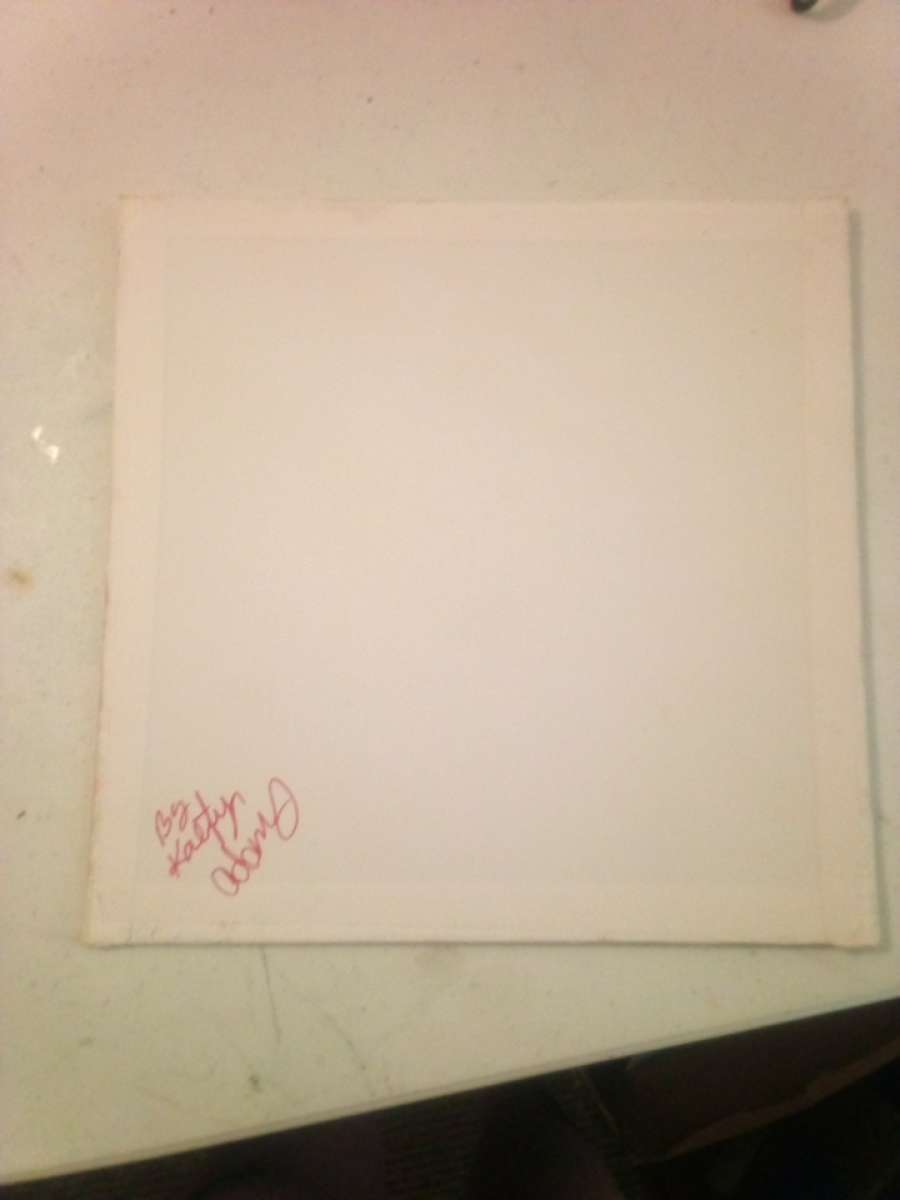 soft pastel drawing on canvas