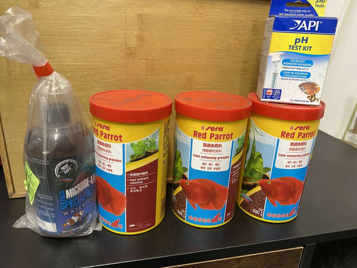 Red Parrot enhancing color food