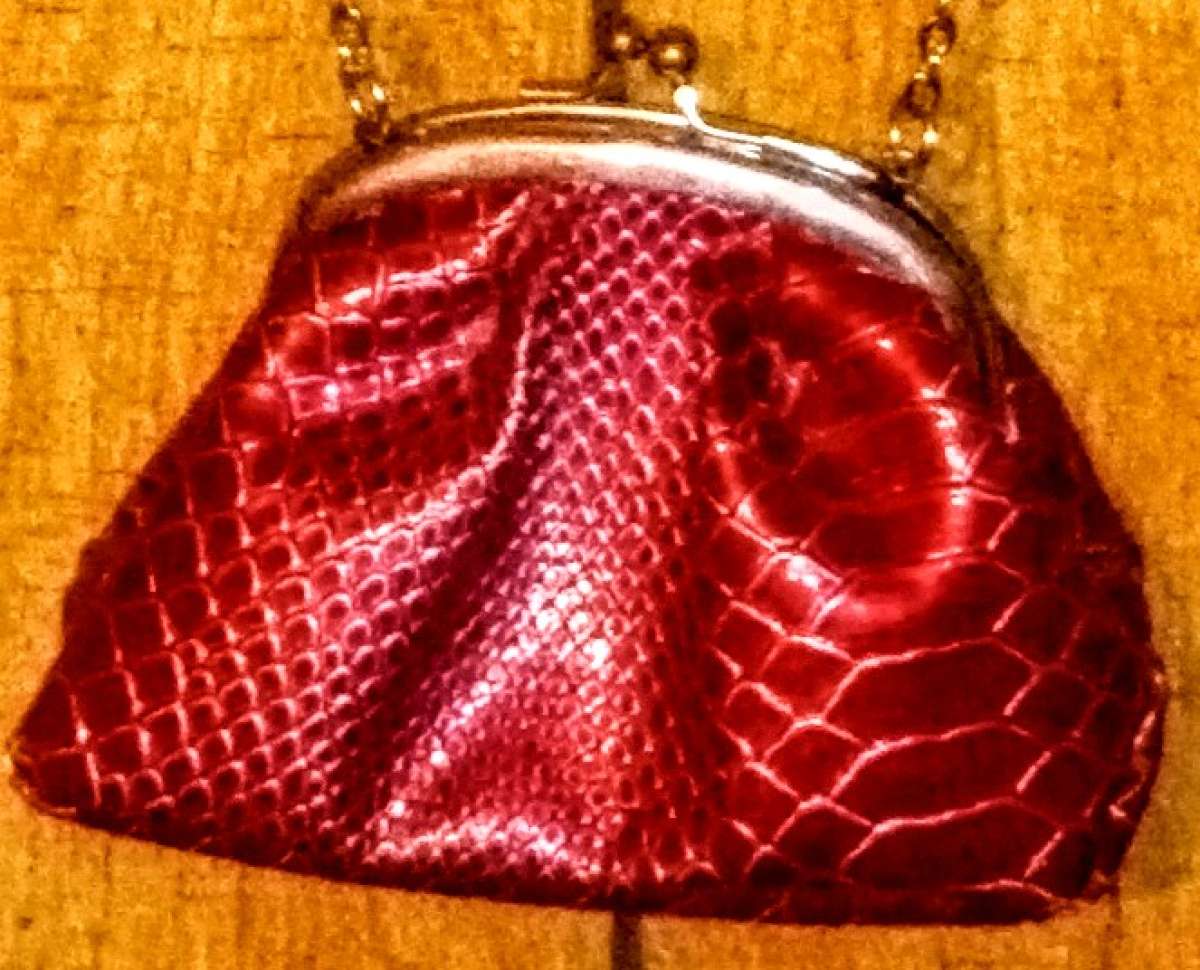 Red Small Rattlesnake Pattern Clutch with 25in Silver Chain