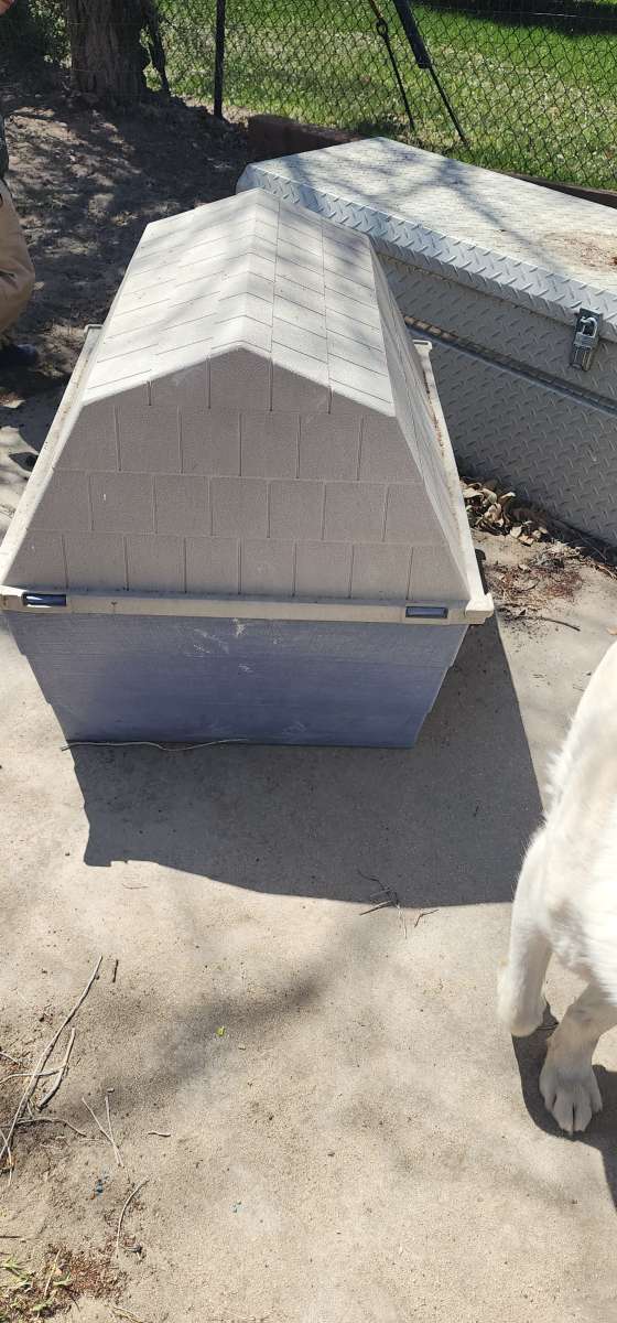 medium dog house