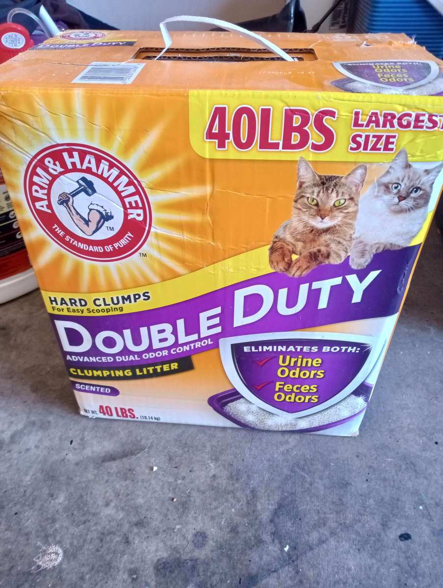 cat litter