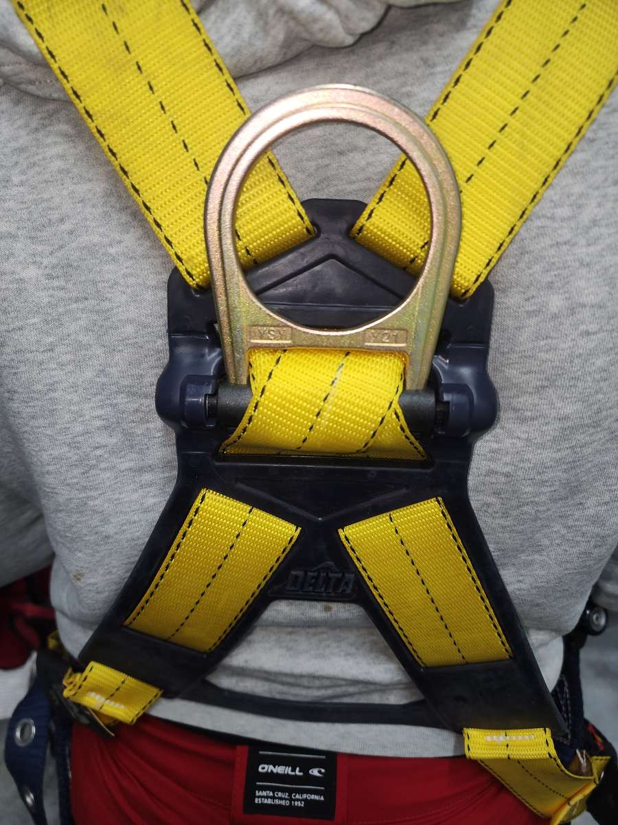 Full body harness