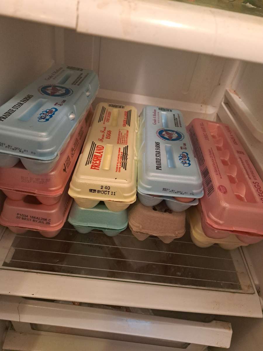 fresh eggs