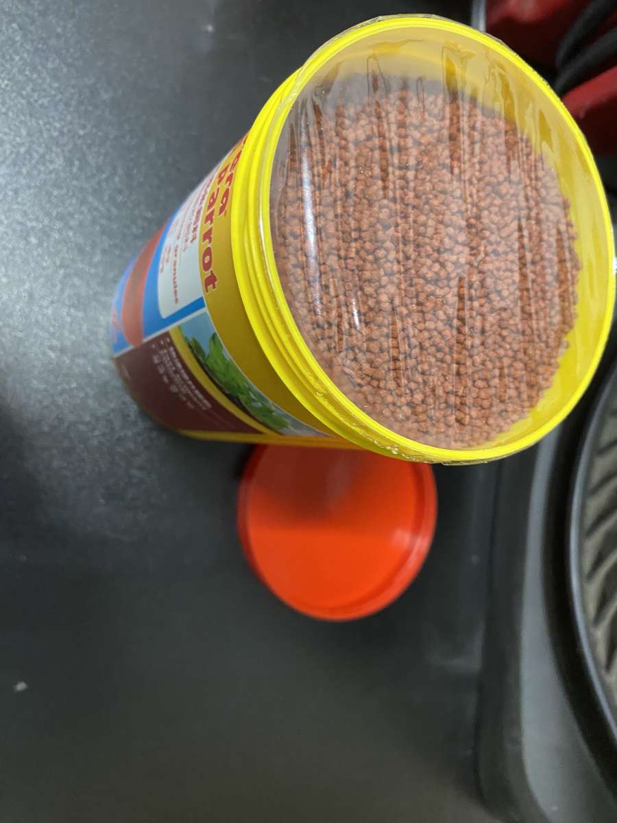 Fish Food to change the color Red Parrot