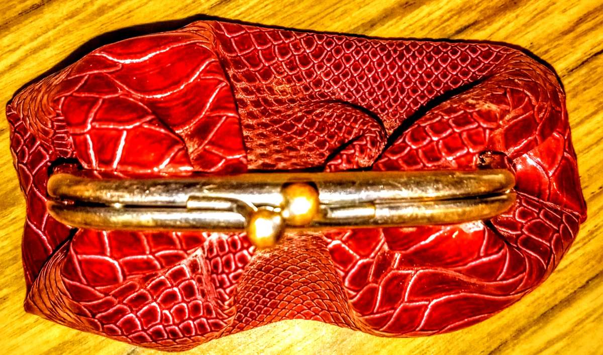 Red Small Rattlesnake Pattern Clutch with 25in Silver Chain