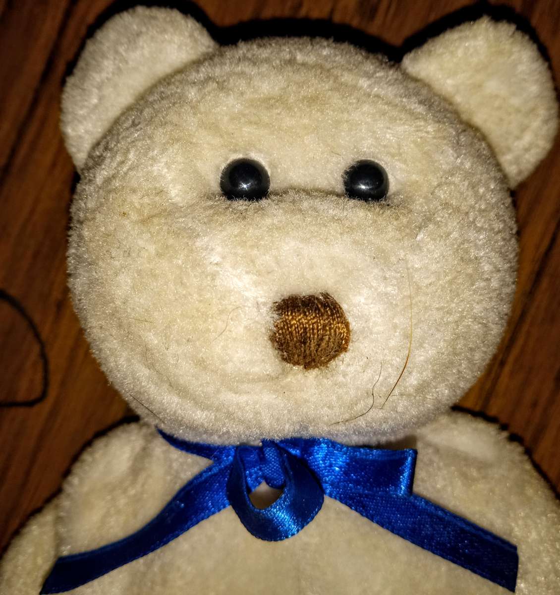 Earl the Beanie Baby