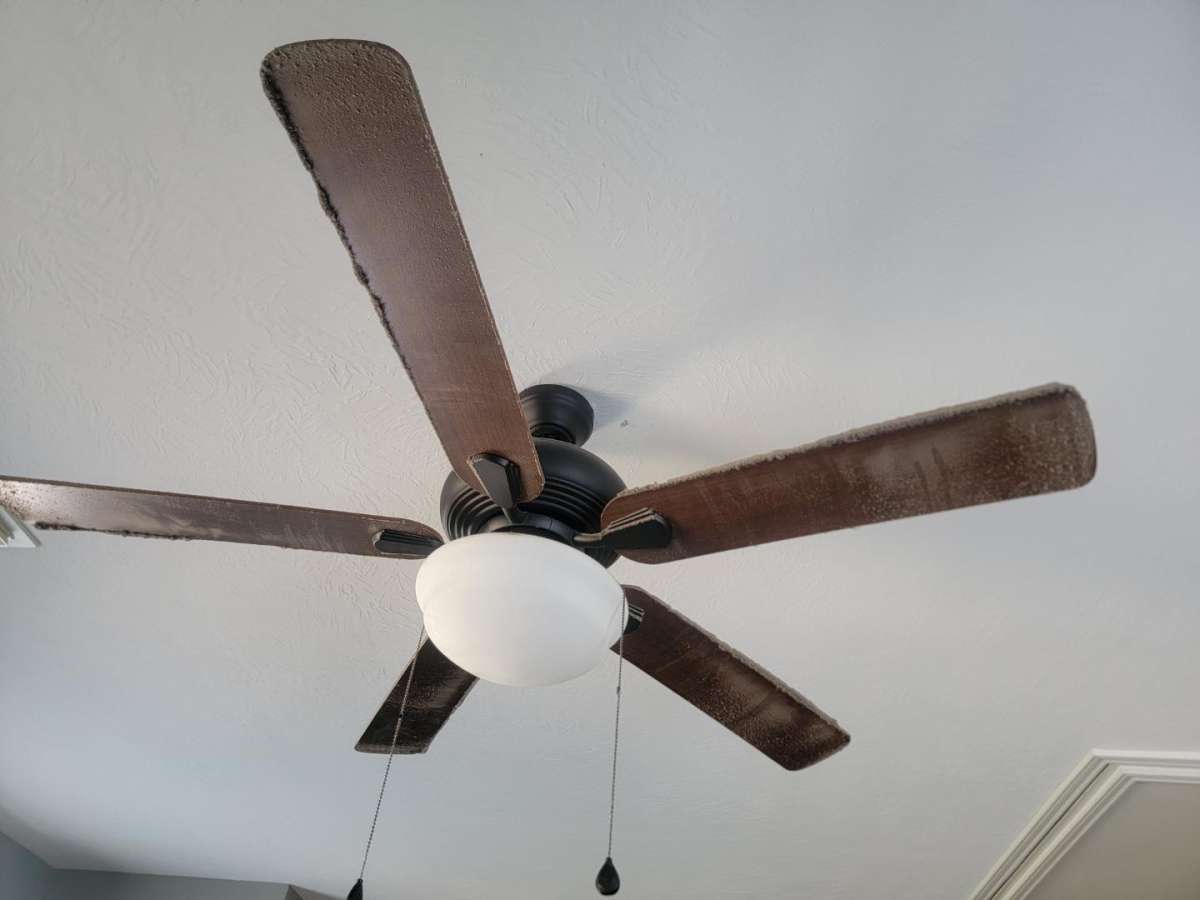 House cleaning apartments offices and more