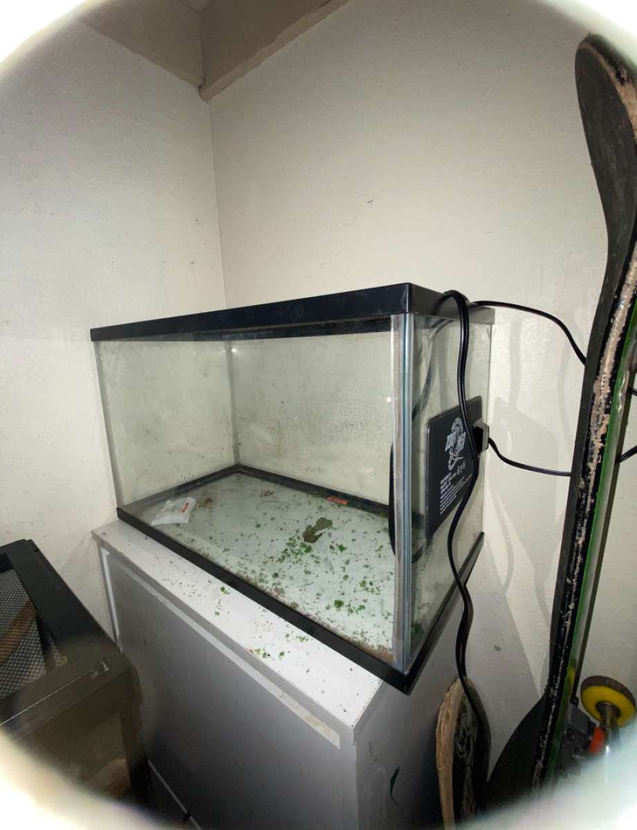 10 Gallon tank N Heat mat