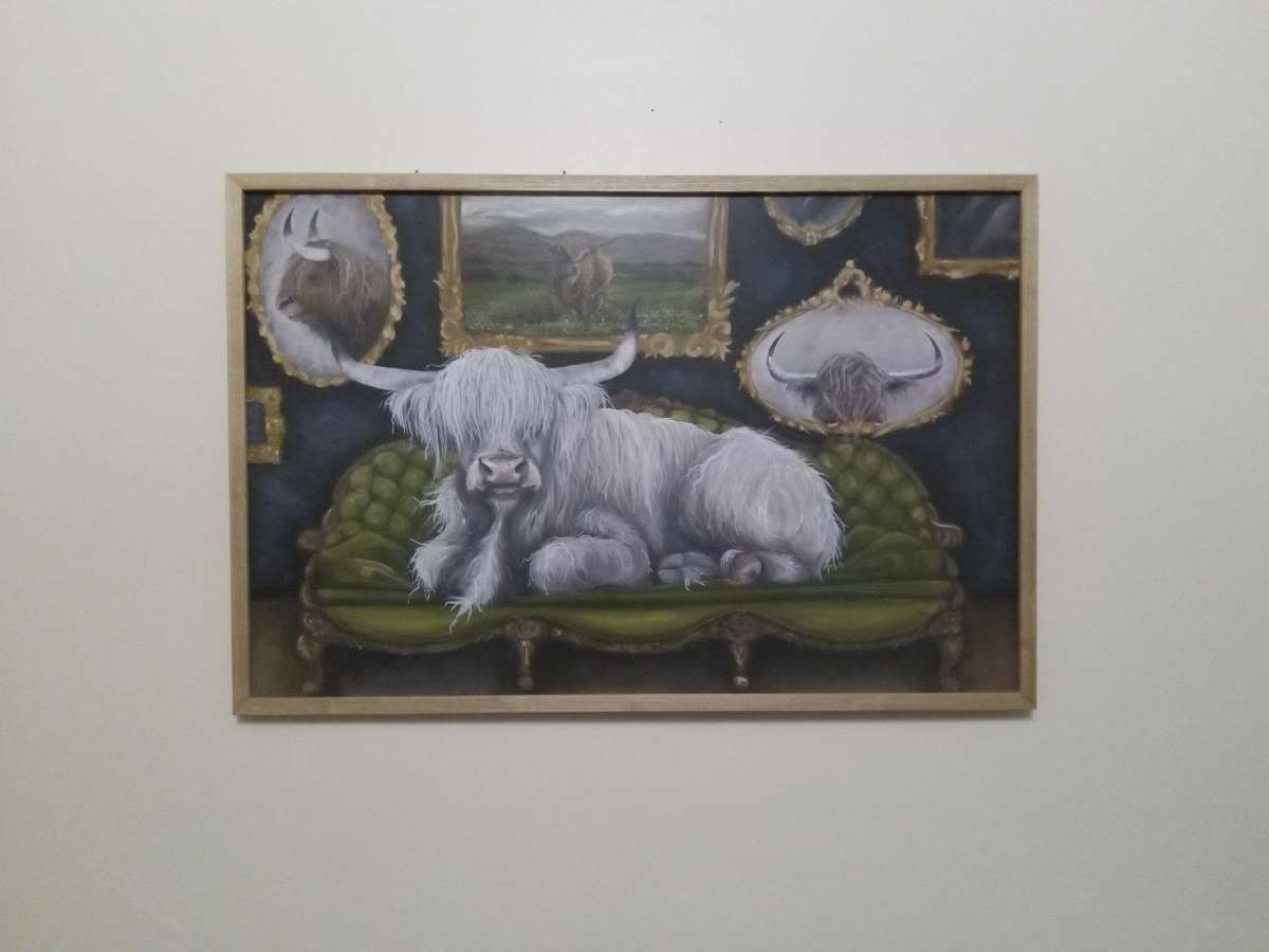 Cow Picture