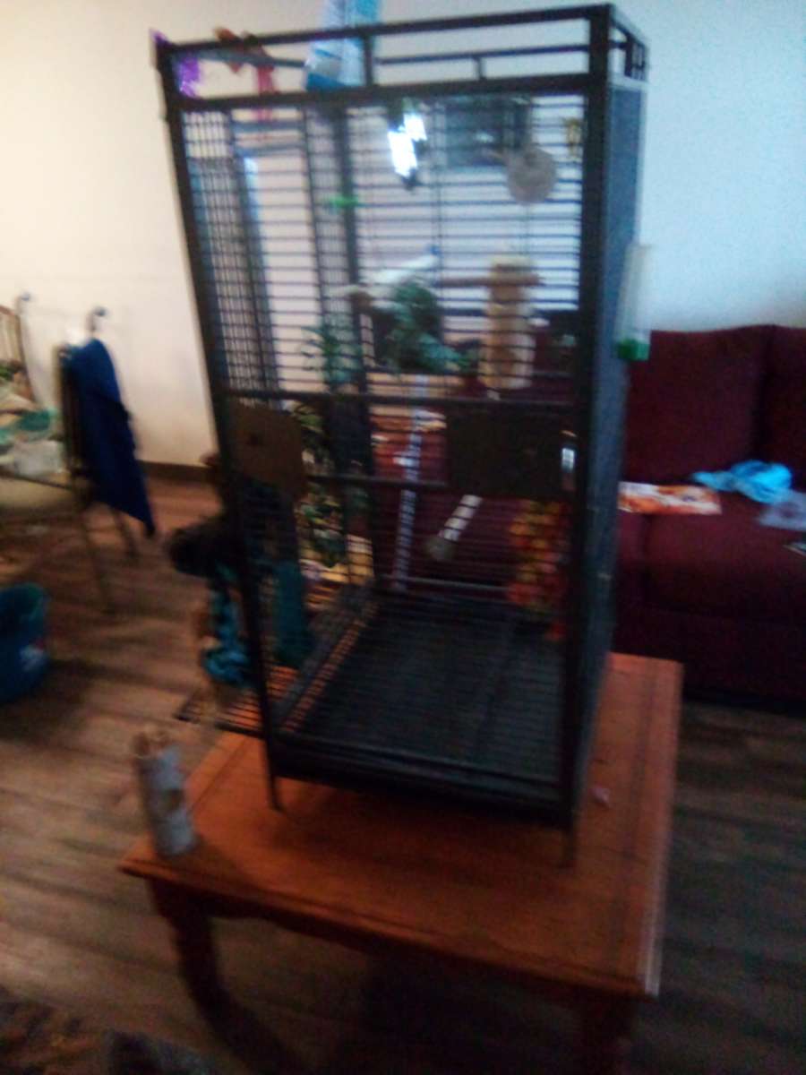 bird cage